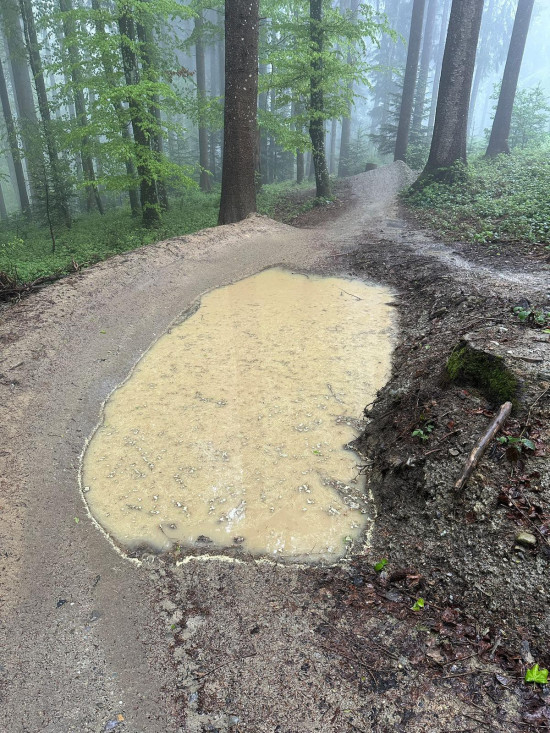 Bild zum Inhalt